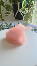 Load and play video in Gallery viewer, Rose Quartz Money Frog|Toad
