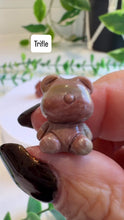 Load and play video in Gallery viewer, Alashan Agate Bear
