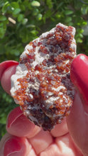 Load and play video in Gallery viewer, Spessartine Garnet on Feldspar Specimen

