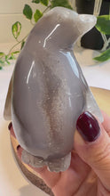 Load and play video in Gallery viewer, Druzy Agate Penguin Carving - Frosti
