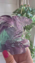 Load and play video in Gallery viewer, Fluorite Dragon Carving
