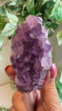 Load and play video in Gallery viewer, Amethyst Cut Base from Brazil
