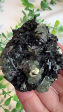 Load and play video in Gallery viewer, Black Tourmaline with Fluorite Specimen from Erongo
