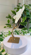 Load and play video in Gallery viewer, Clear Quartz Rose Carving on Custom Stand|Home Decor
