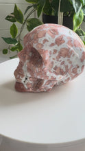 Load and play video in Gallery viewer, Pink Petal Agate Skull
