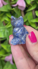 Load and play video in Gallery viewer, Sodalite Cat Carving|Ethically Sourced|Carvings|Natural Sodalite
