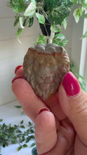 Load and play video in Gallery viewer, Alashan Agate Lion Head Carving
