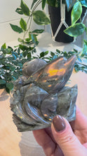 Load and play video in Gallery viewer, Labradorite Dolphins Carving

