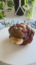 Load and play video in Gallery viewer, Carnelian Money Frog|Three Legged Money Toad
