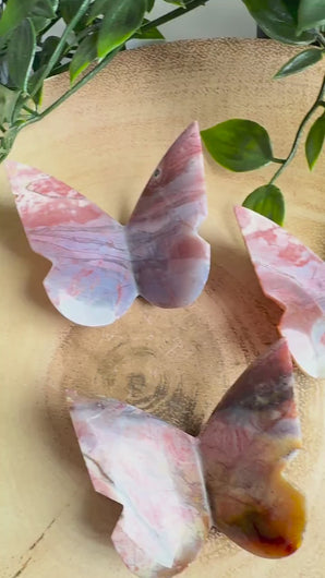 Pink Lace Chalcedony 3D Butterflies|Chalcedony Crystal|Butterfly Carving
