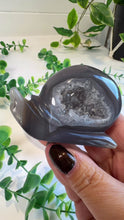 Load and play video in Gallery viewer, Druzy Agate Snail Carving (Matilda)
