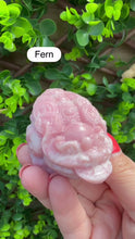 Load and play video in Gallery viewer, Pink Opal Money Frogs
