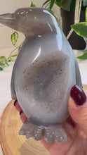 Load and play video in Gallery viewer, Druzy Agate Penguin Carving - Popsicle
