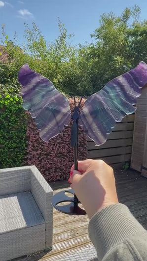 Rainbow Fluorite Butterfly Wings|Home Decor|Crystal Decor|Gift