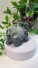 Load and play video in Gallery viewer, Red Moss Agate Elephant

