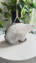 Load and play video in Gallery viewer, Hand Carved Agate Rabbit|Bunny
