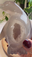 Load and play video in Gallery viewer, Druzy Agate Penguin Carving - Icey B
