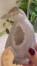 Load and play video in Gallery viewer, Druzy Agate Penguin Carving -Alaska
