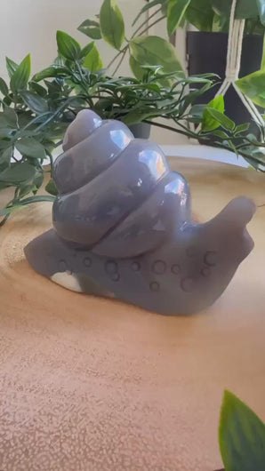 Orca Agate Snail Carving|Snail|Animal Carving|Home Decor