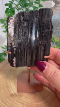 Load and play video in Gallery viewer, Black Tourmaline on Gold Stand from Brazil
