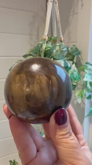 Petrified Wood Sphere 7.5cm with Stand|Fossilised Wood|Fossil