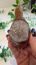 Load and play video in Gallery viewer, Druzy Agate Tortoise
