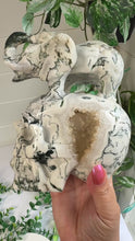 Load and play video in Gallery viewer, Tree Agate Skull with Elephant|Hand Carved|Statement Decor
