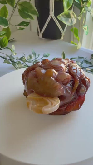Carnelian Money Frog|Three Legged Money Toad|Abundance Gift|Prosperity Symbol