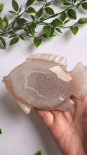 Load and play video in Gallery viewer, Druzy Agate Fish on Custom Gold Stand
