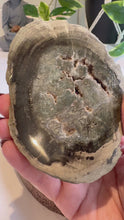 Load and play video in Gallery viewer, Petrified Wood Slice
