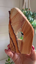 Load and play video in Gallery viewer, Utah Sandstone Freeform|Navajo Sandstone
