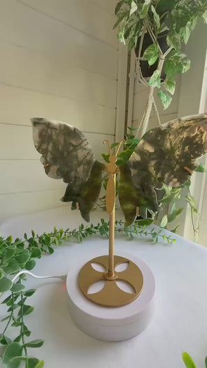 Moss Agate Butterfly Wings|Home Decor