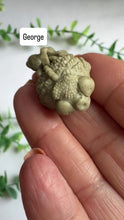 Load and play video in Gallery viewer, Alashan Agate Fish Carvings
