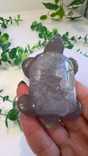 Load and play video in Gallery viewer, Druzy Agate Tortoise (Andy)
