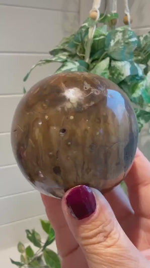 Petrified Wood Sphere 7cm with Stand|Fossilised Wood|Fossil