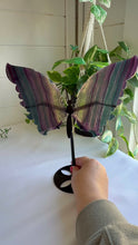 Load and play video in Gallery viewer, Rainbow Fluorite Butterfly Wings on Black Stand
