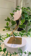 Load and play video in Gallery viewer, Rose Quartz Rose Carving on Custom Stand|Home Decor
