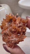 Load and play video in Gallery viewer, Creedite Cluster Specimen from Mexico|Creedite Crystal|Natural Creedite|Crystals from Mexico|Consciously Sourced
