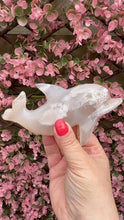 Load and play video in Gallery viewer, Hand Carved Flower Agate Dolphin
