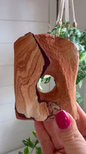 Load and play video in Gallery viewer, Utah Sandstone Freeform|Navajo Sandstone
