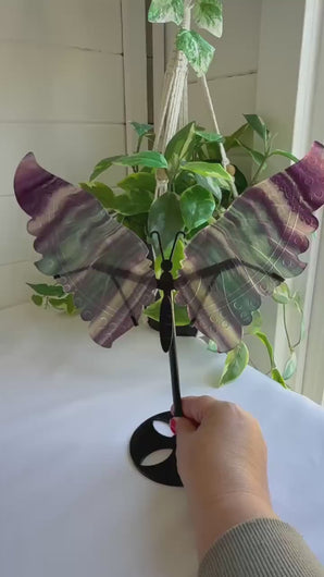 Rainbow Fluorite Butterfly Wings|Home Decor|Crystal Decor|Gift