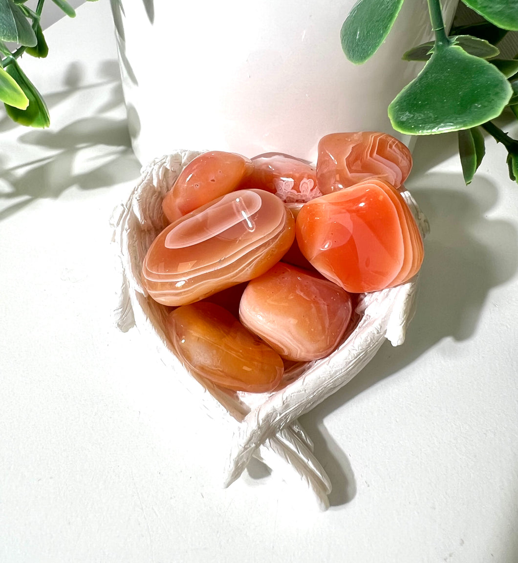 Carnelian Tumble|Motivation|Leadership|Endurance|Courage|Protection|Crystal Healing|Ethically Sourced